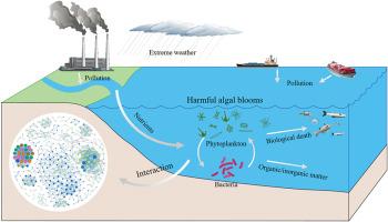 Microbial community dynamics and ecological interactions during an atypical winter Cerataulina pelagica (Bacillariophyta) bloom in Laizhou Bay, southern Bohai Sea