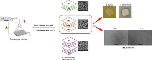 Layer-by-layer electrospun PCL/PVA mats loaded with nisin Z for enhanced diabetic foot ulcer treatment
