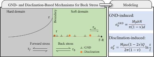 A novel constitutive model emphasizing disclination-induced back stress in strain hardening