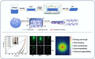 Cell membrane–inspired reverse dialysis approach for preparation of hydrogels with tunable mechanical properties of high strength and toughness