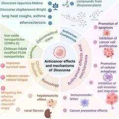 Anticancer effects and mechanisms of genus Dioscorea: A review