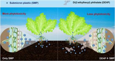 Co-exposure of di(2-ethylhexyl) phthalate (DEHP) decreased the submicron plastic stress in soil–plant system