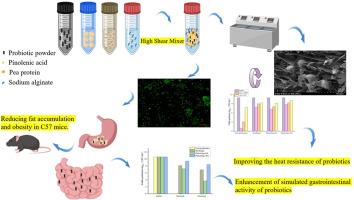 Preparation of pinolenic acid-embedded Lactiplantibacillus plantarum H6 Pickering emulsions stabilized with different concentrations of sodium alginate