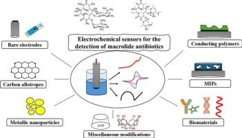 Electrochemical sensors for the detection of macrolide antibiotics: a review