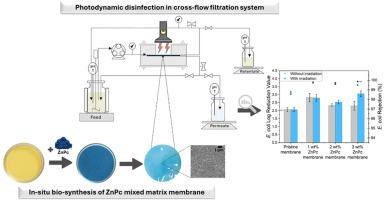 Integrating photodynamic disinfection during water filtration for bacteria and viruses management with zinc phthalocyanine-embedded bacterial cellulose membranes