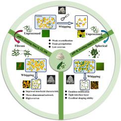 Effect of pea protein isolate aggregates on coconut diacylglycerol-based whipping cream: Interfacial and network stabilization mechanisms