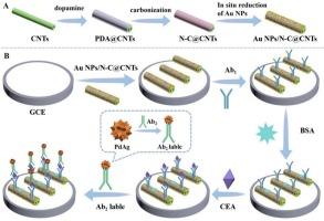 Electrochemical immunosensor based on sea urchin-like PdAg and Au NPs/N-C@CNTs for ultrasensitive detection of CEA
