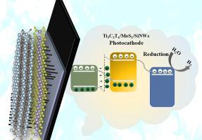 Ti₃C₂Tₓ-engineered MoS₂/SiNWs multifunctional photocathode for Photoelectrochemical hydrogen generation and wastewater remediation