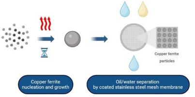 Immiscible liquids separation by copper ferrite coated mesh membranes: central composite statistical design-based growth optimization