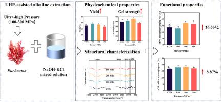 Impact of ultra-high pressure assisted alkaline extraction on properties and structural characteristics of carrageenan