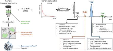 Unraveling microstructure and water behavior in diverse food matrices using low-frequency NMR (LF-NMR) on proton: a specific look at 1H-LF-NMR results interpretation
