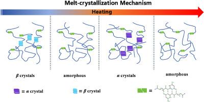 Inter-end-group hydrogen bonding modulates crystallization and polymorphic transition of poly(butylene adipate)