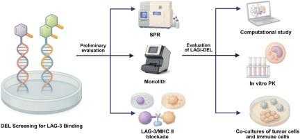 Discovery and validation of LAGi-DEL: A nanomolar LAG-3 inhibitor that reverses immune suppression in tumor-immune co-culture models