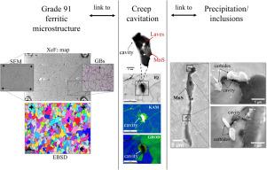 Investigation of creep cavitation mechanisms in ferritic Grade 91 steel