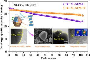 Effective collaborative strategy enabling stable interphase and crystal structure for high-performance Ni-rich single-crystal LiNi0.83Co0.11Mn0.06O2 cathode