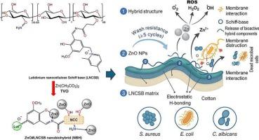 Green engineering of lutidinium Schiff base nanocellulose–ZnO biohybrid as a durable antibacterial and UV-protective sustainable textile nanocoating