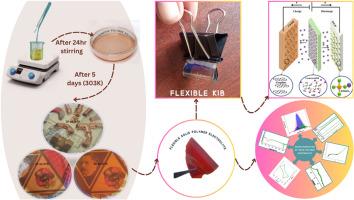 Advanced eco-conscious amylaceous biopolymer electrolytes functionalized with potassium iodide for high-performance flexible potassium-ion batteries
