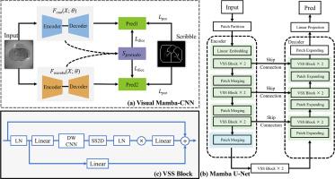 Visual Mamba-CNN for scribble-based segmentation in weakly supervised learning for photoacoustic tomography