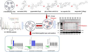 Exploring the role of phytochemical saponins in preventing the thermal aggregation of α-lactalbumin: A multi-dimensional spectrometric analysis