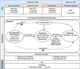 Associations between reproductive milestones and Alzheimer’s disease risk: a Mendelian randomization study