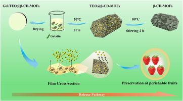 Gelatin-based film applying cyclodextrin metal-organic frameworks for controlled release of thyme essential oil: Development, characterization and application in fruit preservation