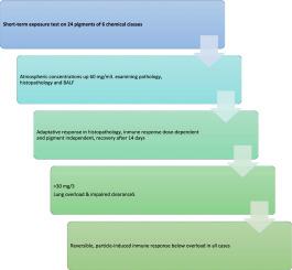 Comparative assessment of 24 pigment dusts reveals analogue inhalation effects