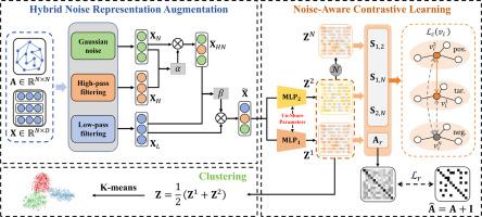 Dual-level noise augmentation for graph clustering with triplet-wise contrastive learning