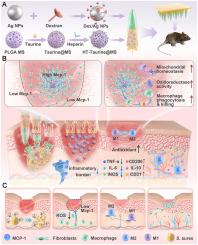 Bacteria microenvironment-responsive missile microneedles modulate immunity and penetrate biofilm for diabetic wound therapy