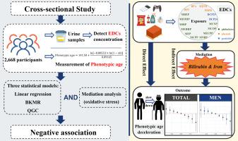 Unveiling the mediating role of oxidative stress in the association between endocrine-disrupting chemicals and phenotypic age acceleration: a cross-sectional study