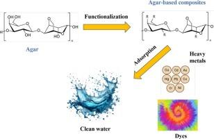 Application of agar-based adsorbents in the removal of dyes and heavy metals from wastewater: Current advances, challenges, and future perspectives