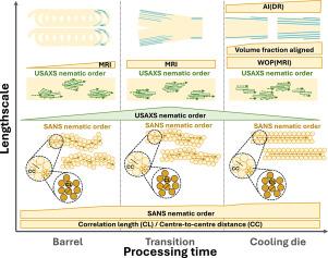 Mapping anisotropic structure formation of soy protein during high-moisture extrusion