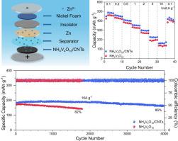 Intercalated CNT networks enable high-kinetic NH4V4O10 cathodes with long-term stability in aqueous zinc-ion batteries