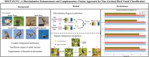 DECF-FGVC: A discriminative enhancement and complementary fusion approach for fine-grained bird visual classification