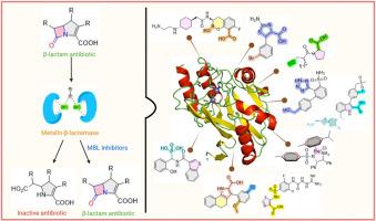 Disarming superbugs: New frontiers in inhibiting NDM-1 and other clinically relevant metallo-β-lactamases