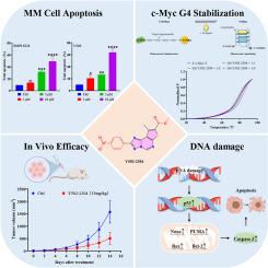Discovery of Y502-2304, a potent c-Myc G-quadruplex stabilizer for the treatment of multiple myeloma
