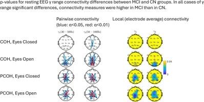 Resting EEG partial coherence demonstrates increased γ range central functional connectivity in amnestic mild cognitive impairment
