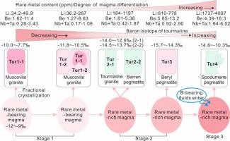 Magma differentiation and rare metal mineralization of the Qongjiagang area, Himalayan orogen: evidence from trace element and boron isotope compositions of tourmaline