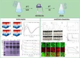 Influence of pH-shifting combined with ultrasound on the structure and emulsification characteristics of coconut meal globulin