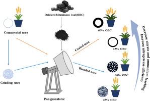 Oxidized bituminous coal-modified urea: Coating versus blending effects on growth characteristics and nitrogen use efficiency in wheat