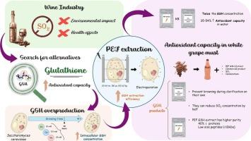 Antioxidant assessment of a glutathione-rich extract obtained from electroporated cells of Saccharomyces cerevisiae in white grape must