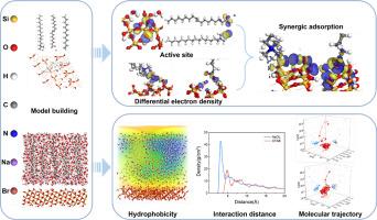 Interfacial interaction mechanisms of cationic–anionic mixed collectors on quartz surfaces: A combined density functional theory and molecular dynamics study