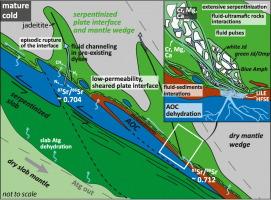 Tracking fluid sources in mantle wedge jadeitites: Petro-geochemical constraints and implications for fluid venting above the subduction interface