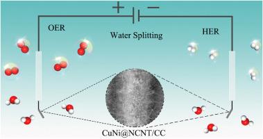 Copper-modulated nickel nanoparticles embedded in nitrogen-doped carbon nanotubes for efficient electrocatalytic saline water splitting