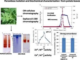 Isolation and characterization of peroxidase from potato leaves Solanum tuberosum: Application in glucose diagnostic kit