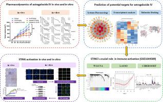 Astragaloside IV potentiates cisplatin sensitivity in triple-negative breast cancer via STING signaling pathway activation