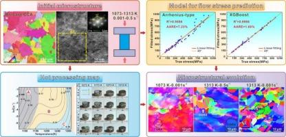 Machine-learning-assisted optimization of constitutive modeling and microstructural insights into the hot deformation of L12-strengthened Co33Cr23Ni34Al5Ti5 chemically complex alloys