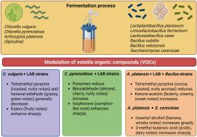Technological advances in fermentation of Chlorella vulgaris and Arthrospira platensis biomass for production of volatile organic compounds with sensorial appeal in foods