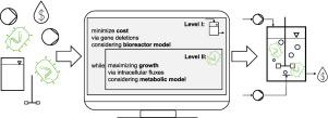 Simultaneous design of microbe and bioreactor