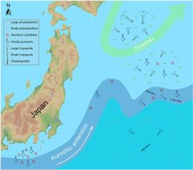 Kuroshio extension-driven variability in spring zooplankton community structure and function