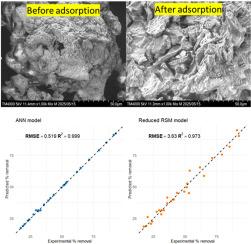 Optimization and comparative modelling of RSM and ANN for the adsorptive removal of Remazol Brilliant Blue R dye using spent coffee ground biochar